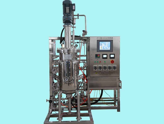 FZ-D型50L發(fā)酵罐